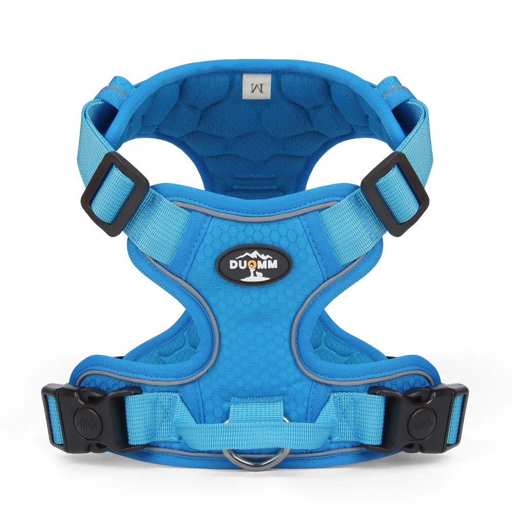 Harnais anti-traction réglable pour chien + laisse