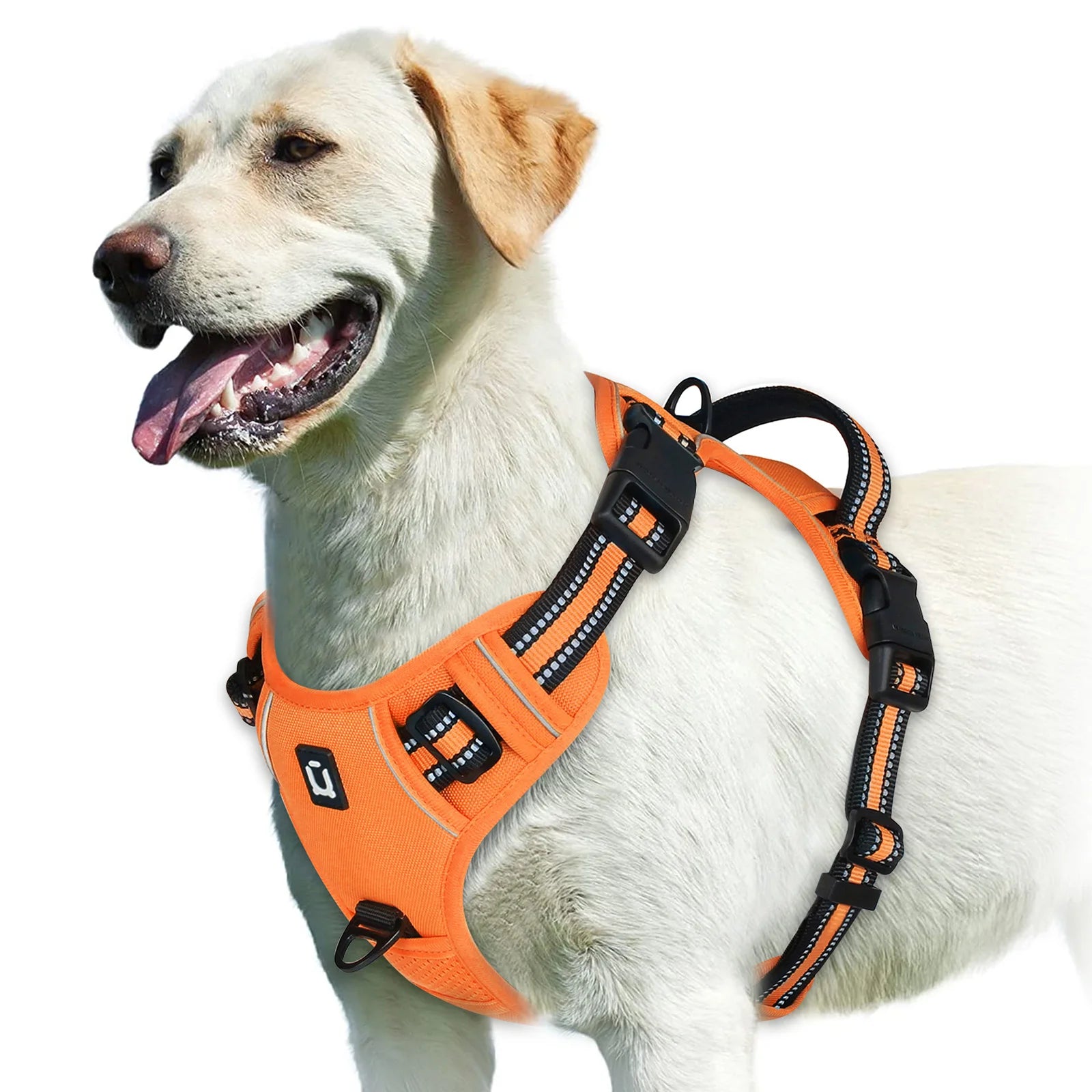 Harnais anti-traction réglable pour chien + laisse