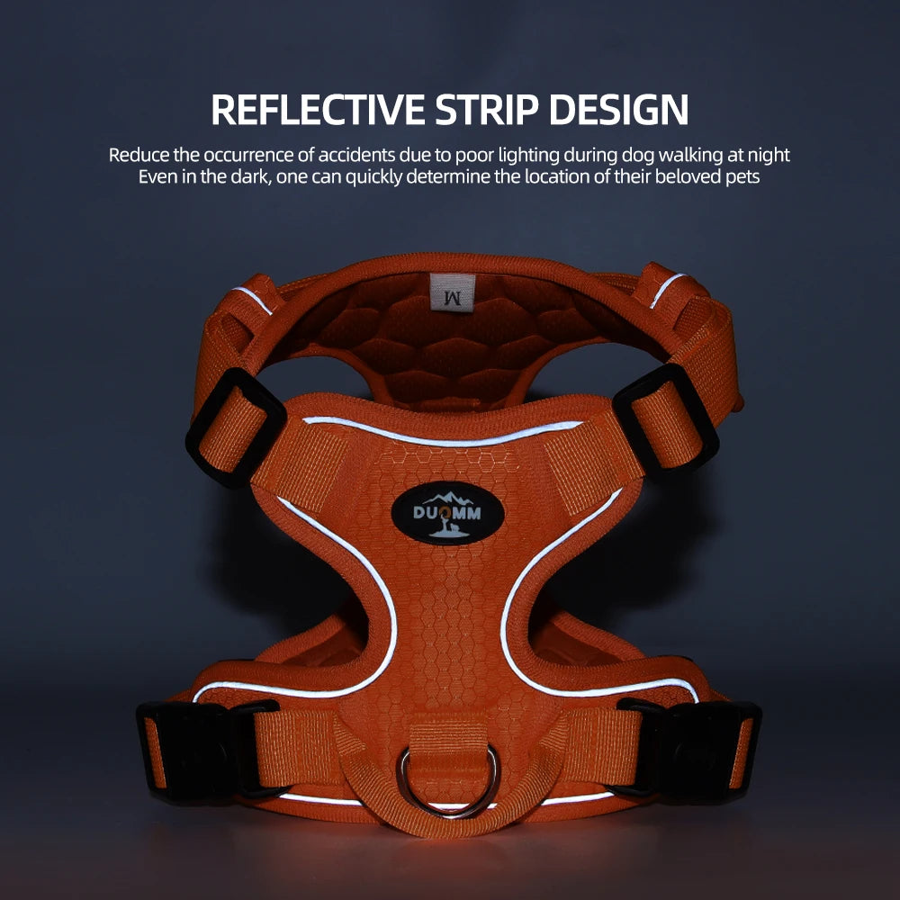 Harnais anti-traction réglable pour chien + laisse
