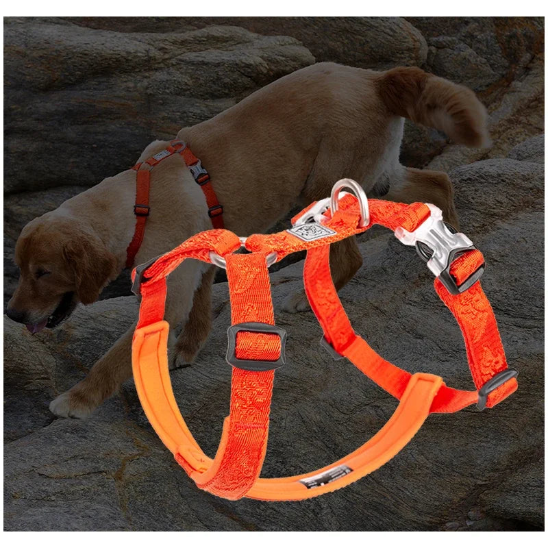 Harnais anti-traction réglable pour chien + laisse