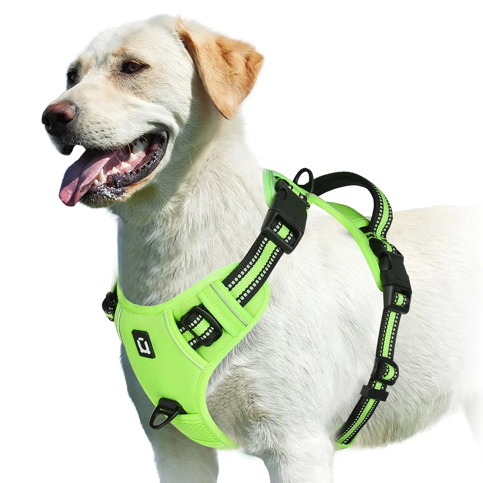 Harnais anti-traction réglable pour chien + laisse