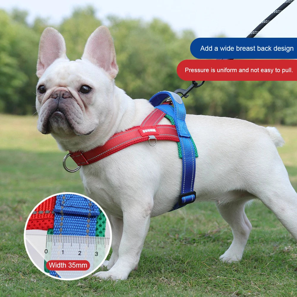 Harnais anti-traction réglable pour chien + laisse