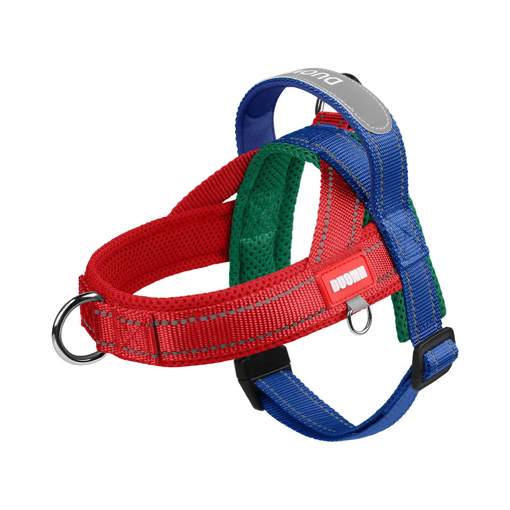 Harnais anti-traction réglable pour chien + laisse