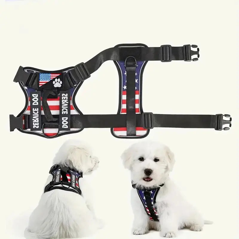 Harnais anti-traction réglable pour chien + laisse