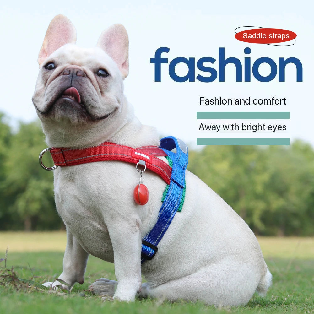 Harnais anti-traction réglable pour chien + laisse