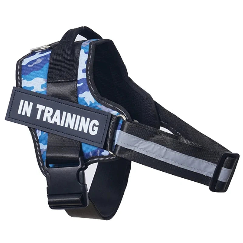 Harnais anti-traction réglable pour chien + laisse