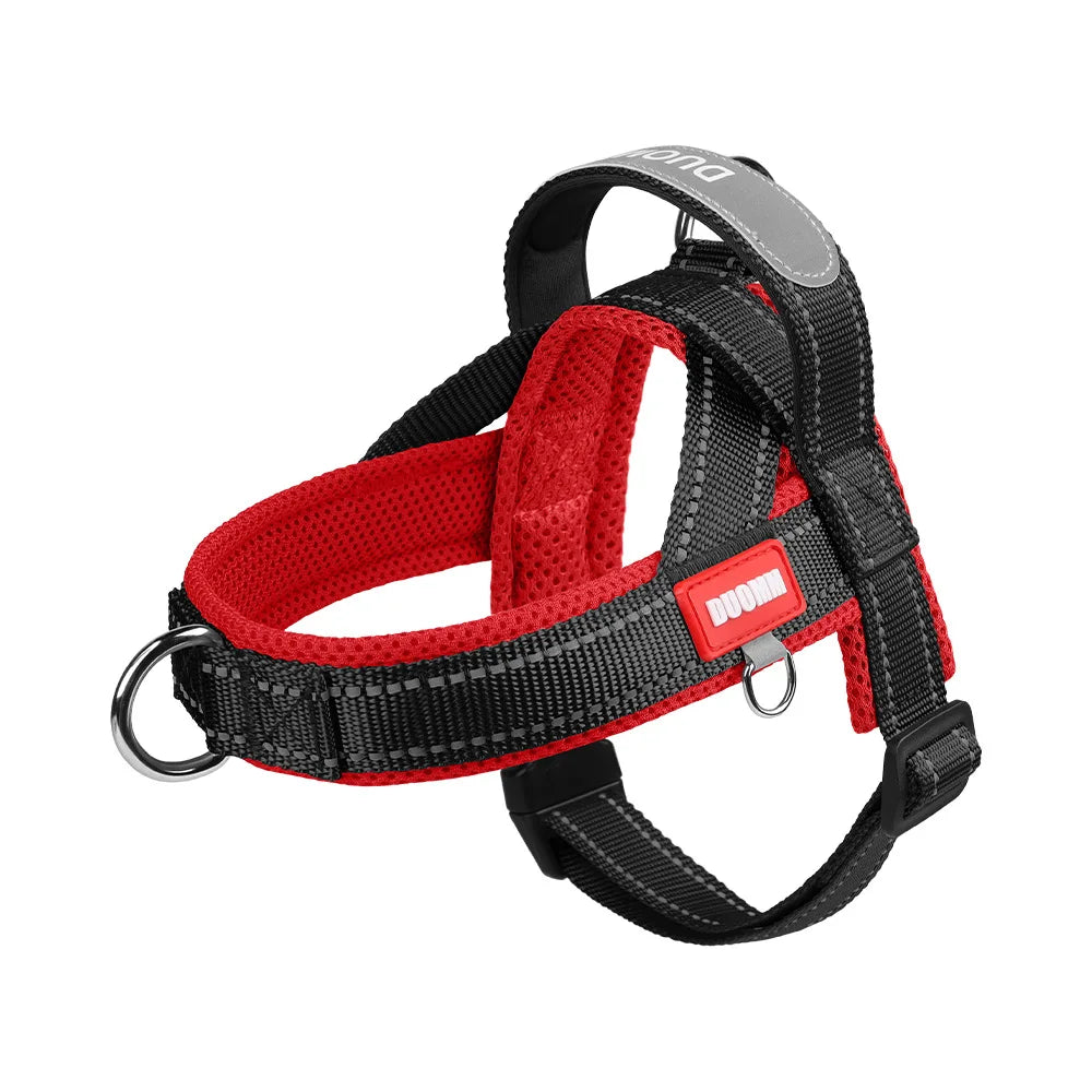 Harnais anti-traction réglable pour chien + laisse