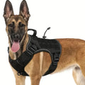 Harnais anti-traction réglable pour chien + laisse