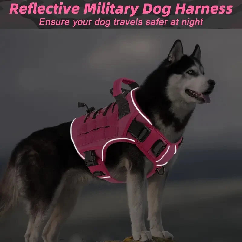 Harnais anti-traction réglable pour chien + laisse