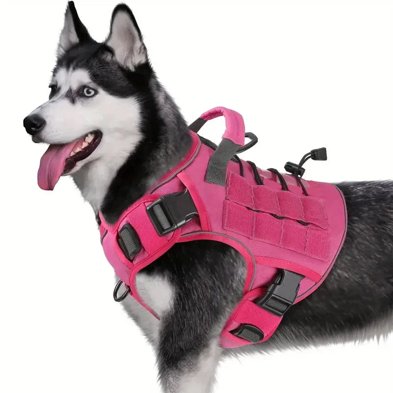 Harnais anti-traction réglable pour chien + laisse
