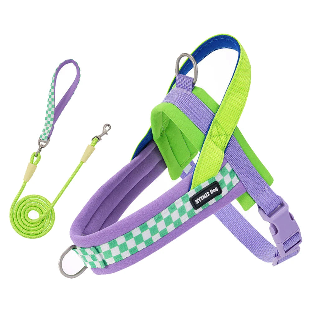 Harnais anti-traction réglable pour chien + laisse