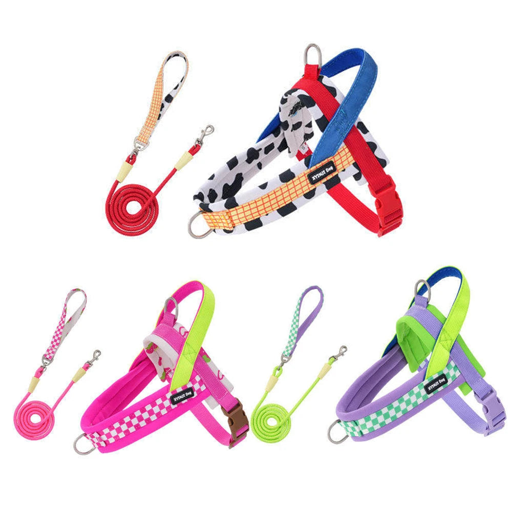 Harnais anti-traction réglable pour chien + laisse