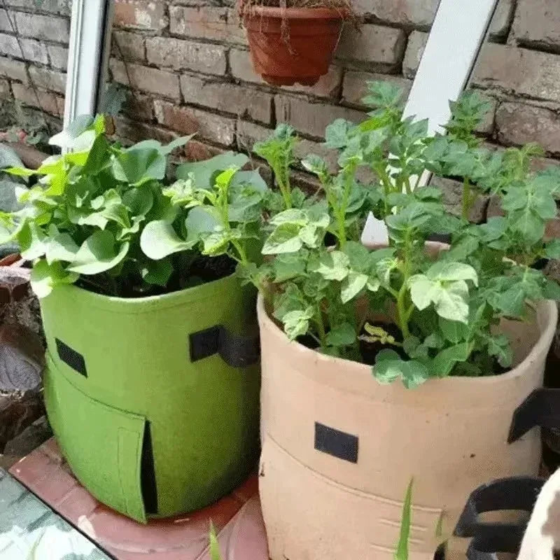 Sacs de culture en feutre – potager
