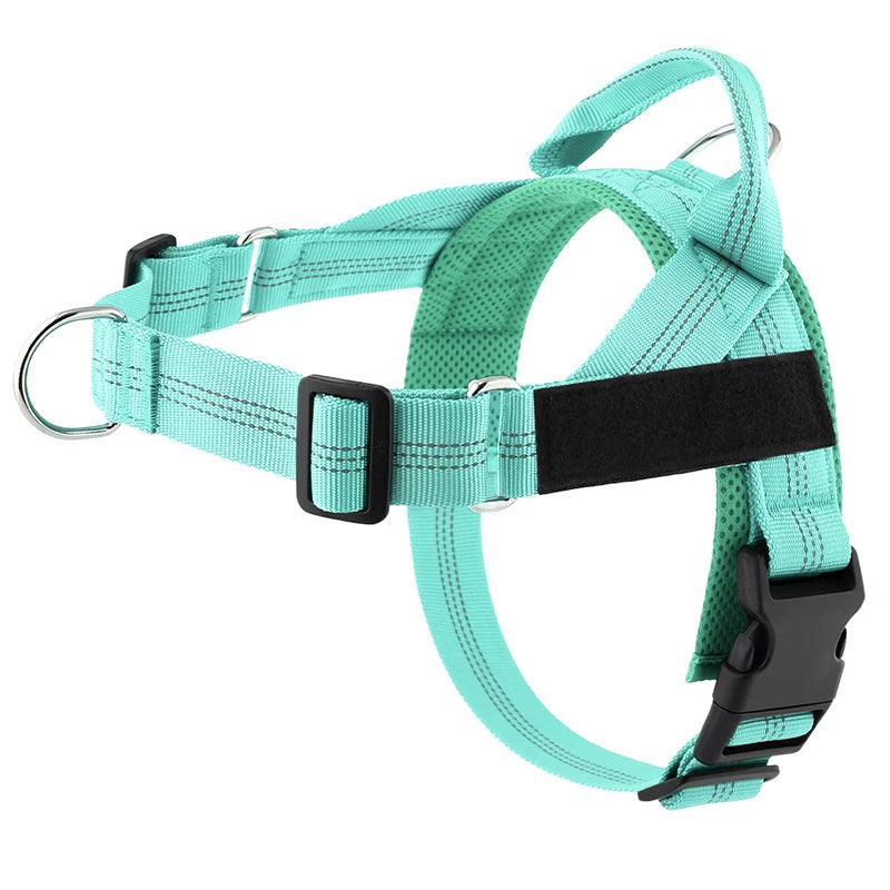 Harnais anti-traction réglable pour chien + laisse