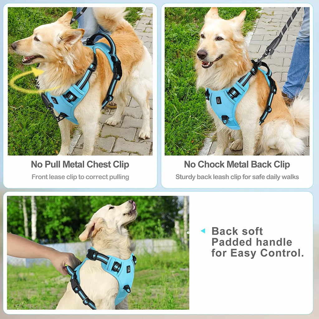 Harnais anti-traction réglable pour chien + laisse