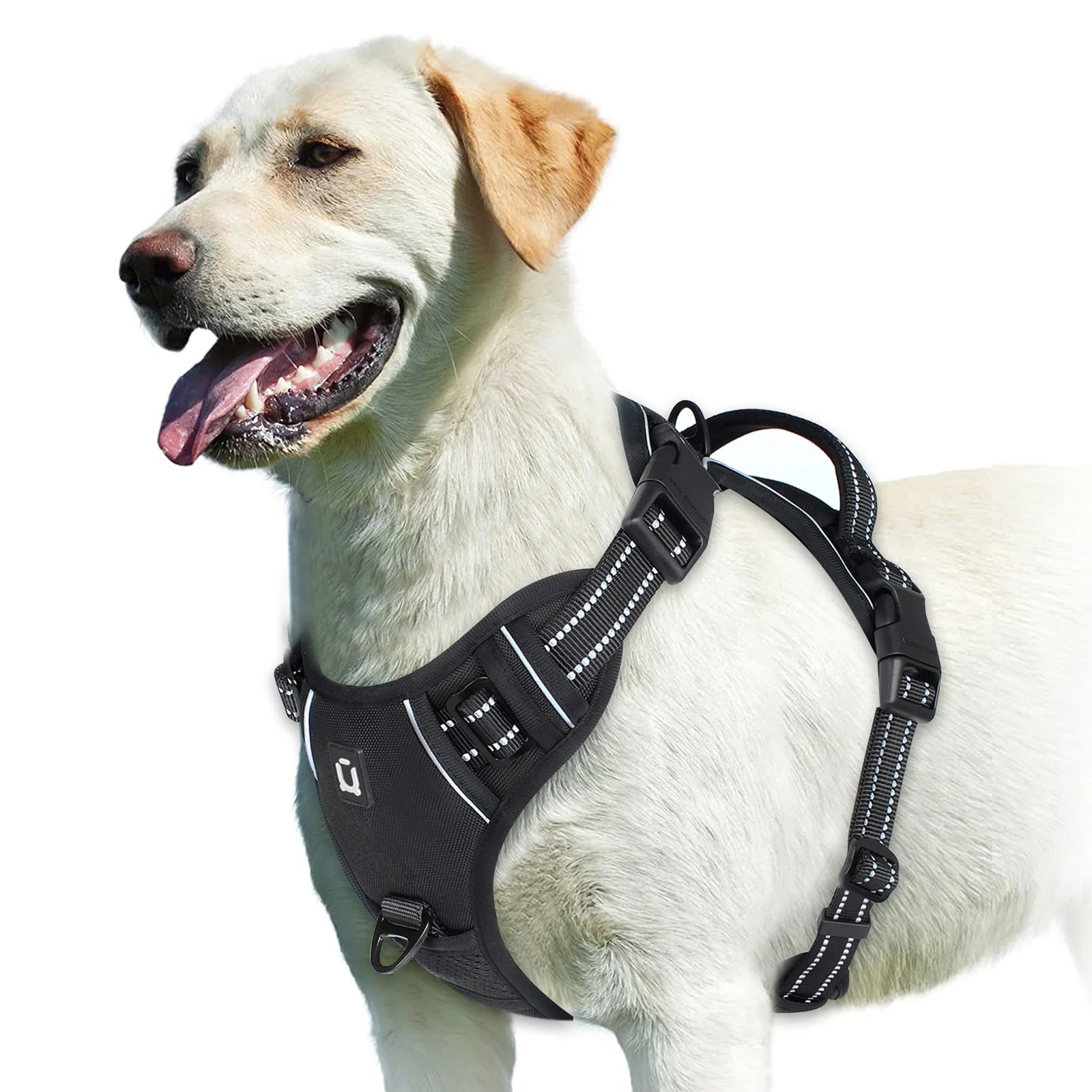 Harnais anti-traction réglable pour chien + laisse