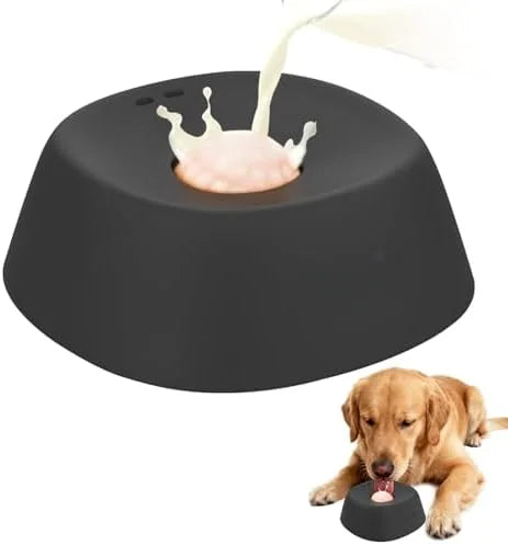 Gamelle anti-glouton pour chien & chat