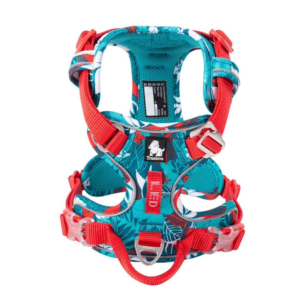 Harnais anti-traction réglable pour chien + laisse
