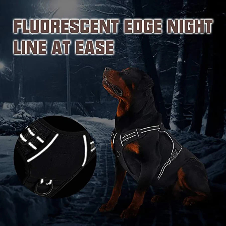 Harnais anti-traction réglable pour chien + laisse