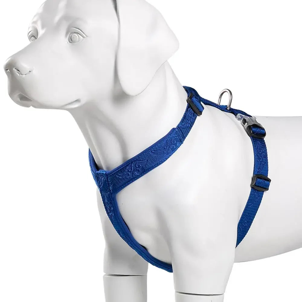 Harnais anti-traction réglable pour chien + laisse