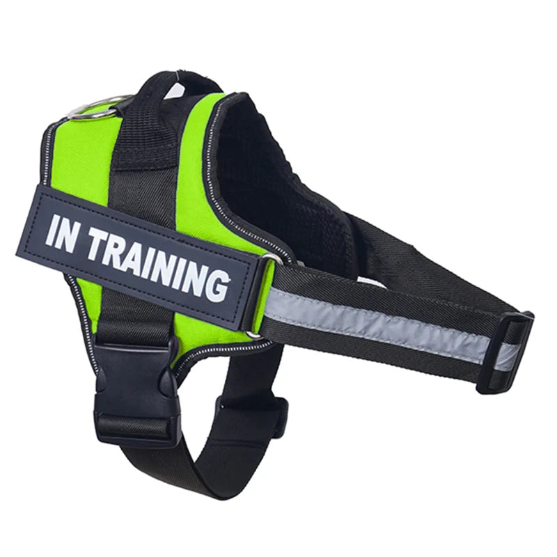 Harnais anti-traction réglable pour chien + laisse