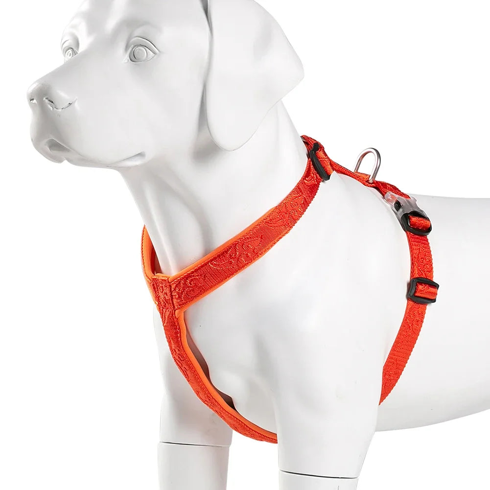 Harnais anti-traction réglable pour chien + laisse