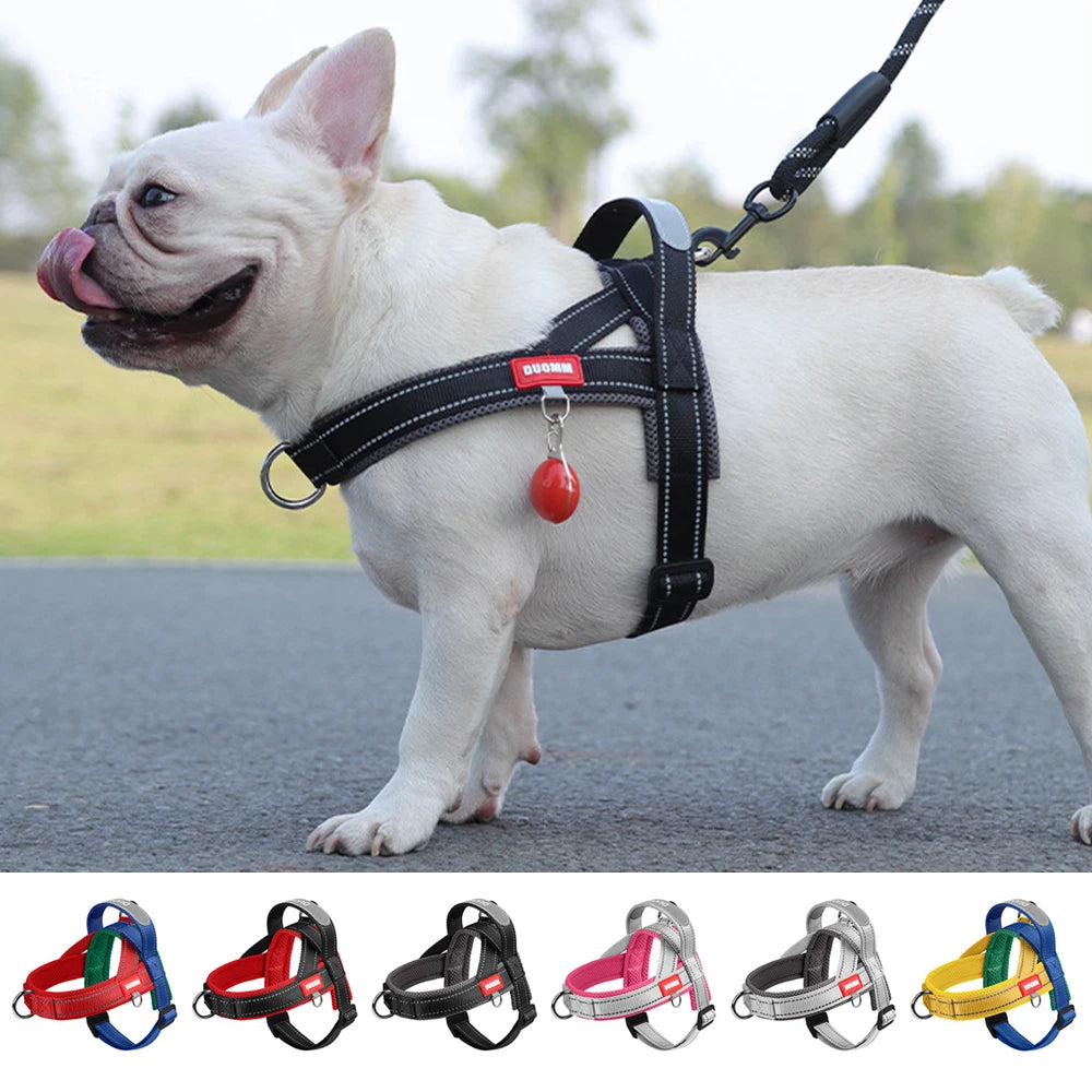 Harnais anti-traction réglable pour chien + laisse