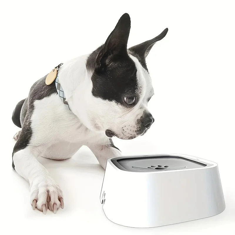 Gamelle anti-glouton pour chien & chat