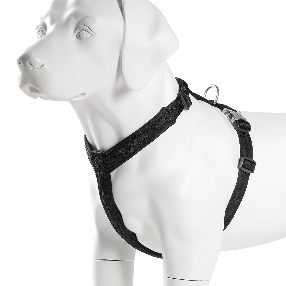 Harnais anti-traction réglable pour chien + laisse