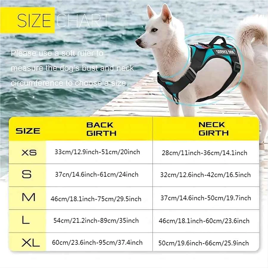 Harnais anti-traction réglable pour chien + laisse