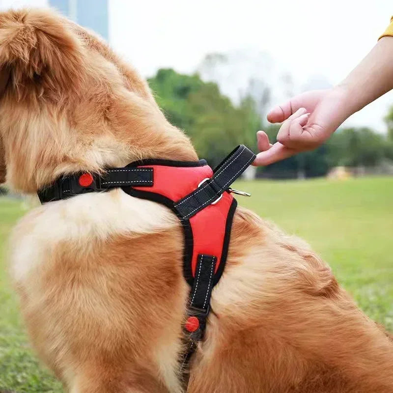 Harnais anti-traction réglable pour chien + laisse