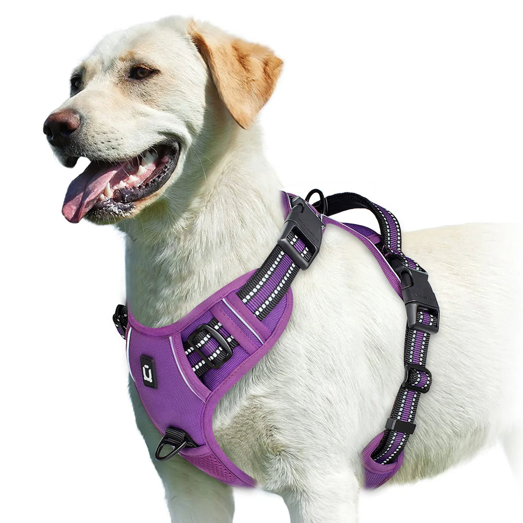 Harnais anti-traction réglable pour chien + laisse