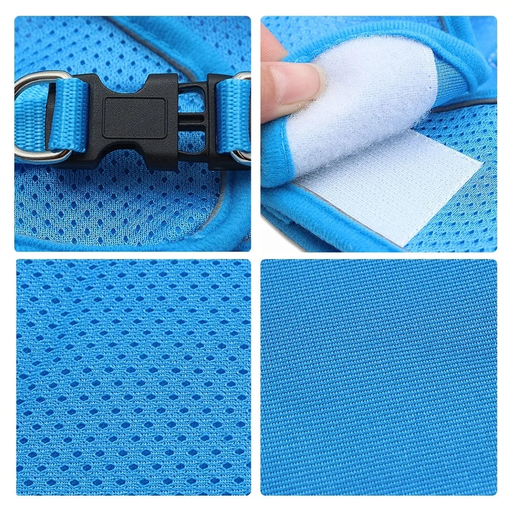 Harnais anti-traction réglable pour chien + laisse