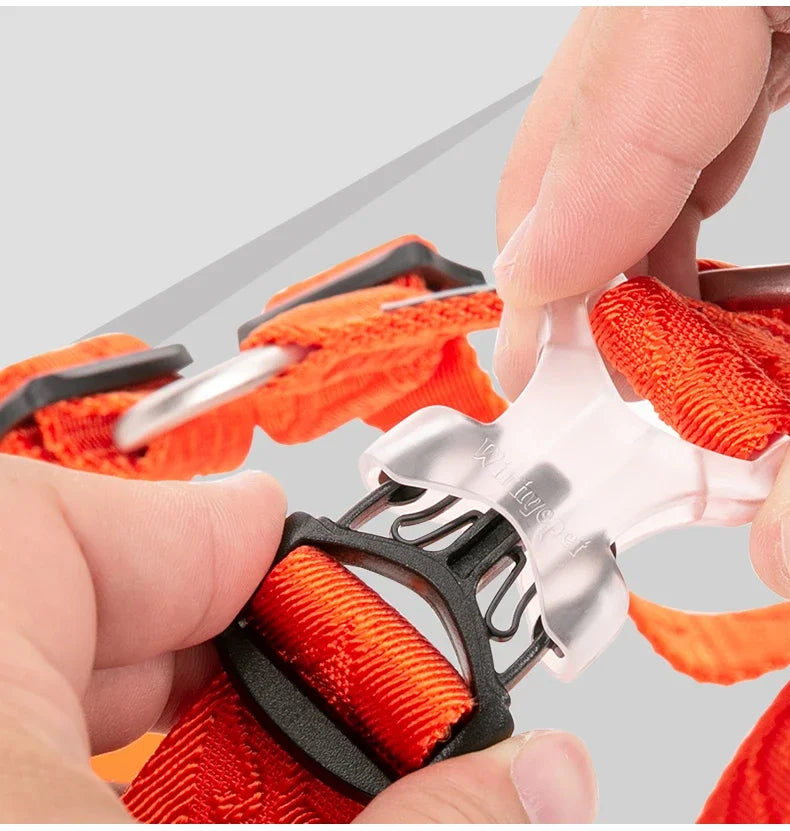 Harnais anti-traction réglable pour chien + laisse