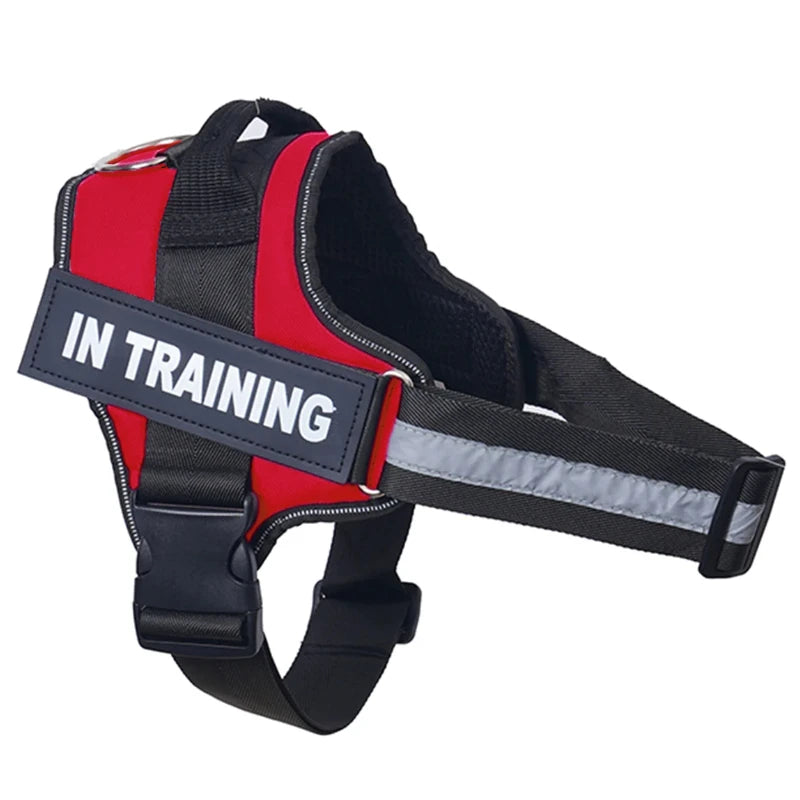 Harnais anti-traction réglable pour chien + laisse