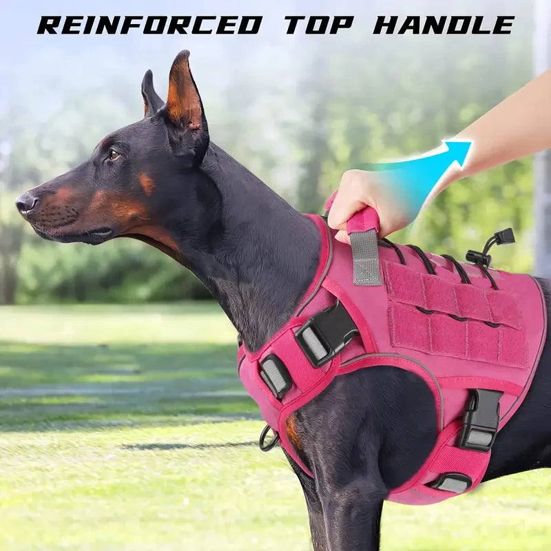 Harnais anti-traction réglable pour chien + laisse
