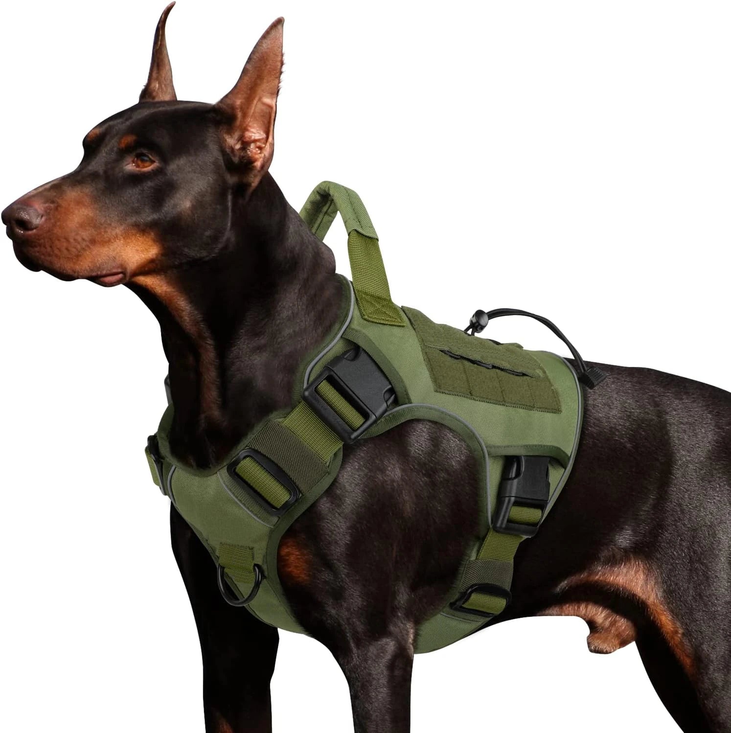 Harnais anti-traction réglable pour chien + laisse