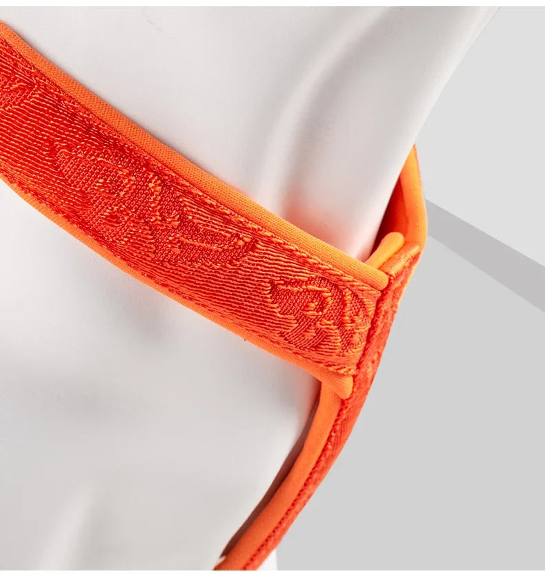 Harnais anti-traction réglable pour chien + laisse