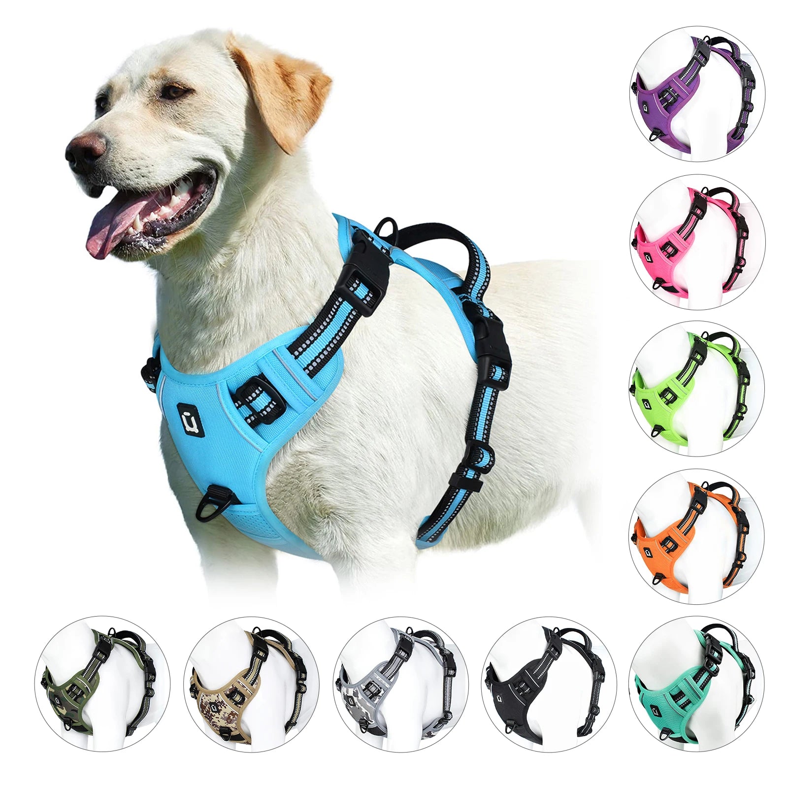 Harnais anti-traction réglable pour chien + laisse
