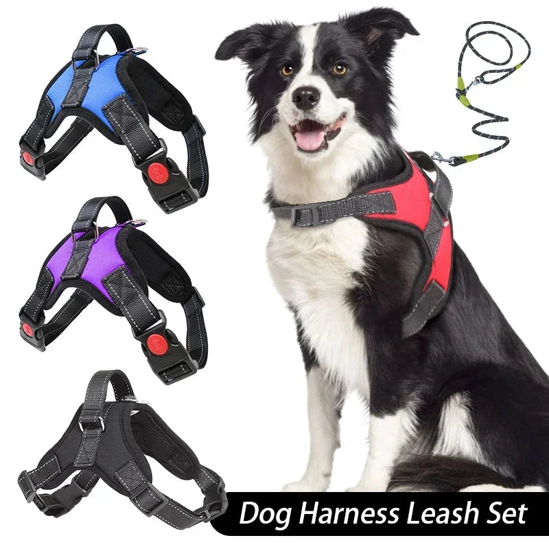 Harnais anti-traction réglable pour chien + laisse
