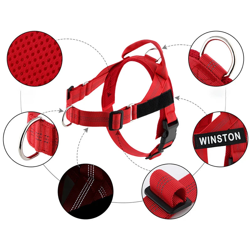 Harnais anti-traction réglable pour chien + laisse