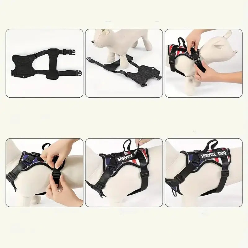 Harnais anti-traction réglable pour chien + laisse