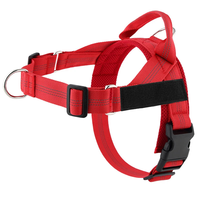 Harnais anti-traction réglable pour chien + laisse