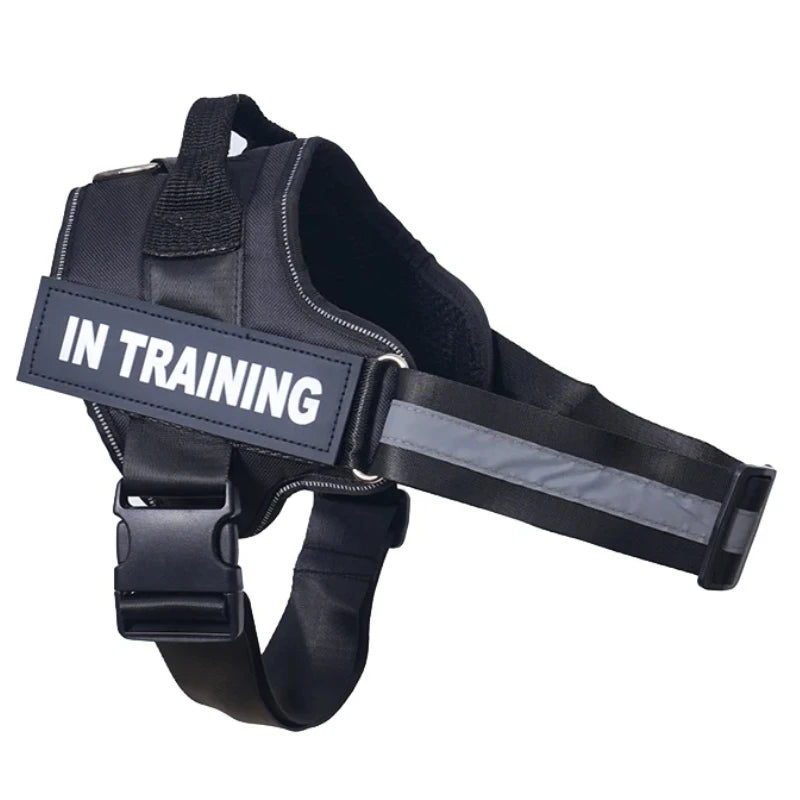 Harnais anti-traction réglable pour chien + laisse