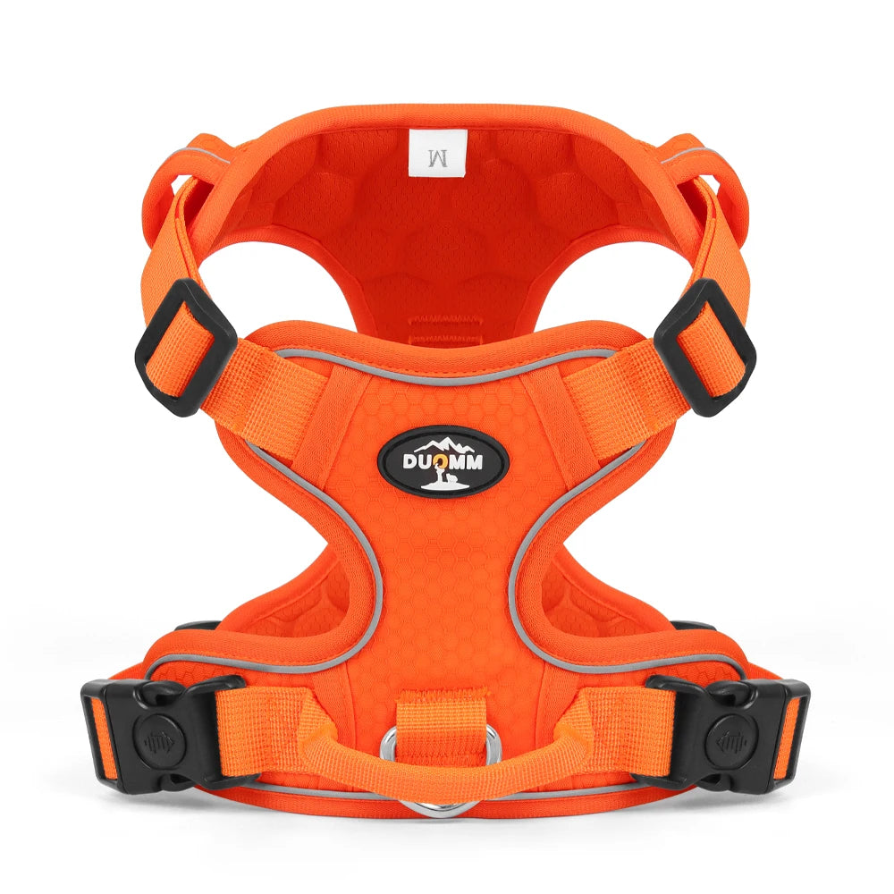 Harnais anti-traction réglable pour chien + laisse