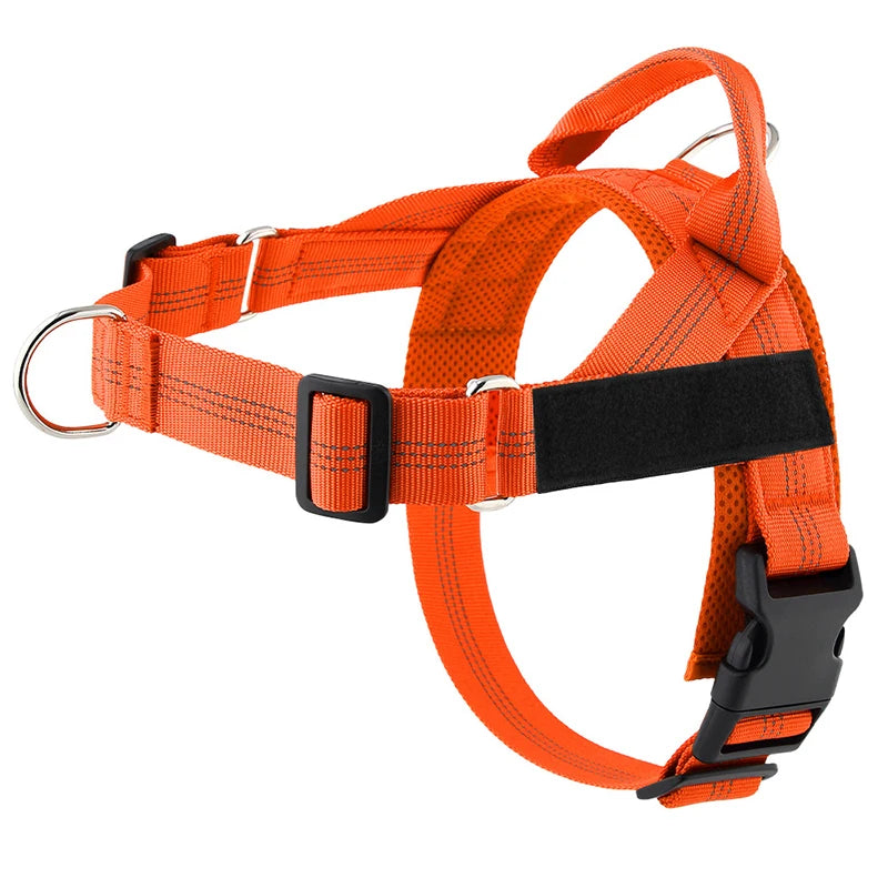 Harnais anti-traction réglable pour chien + laisse
