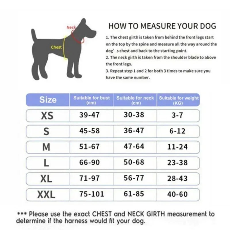 Harnais anti-traction réglable pour chien + laisse