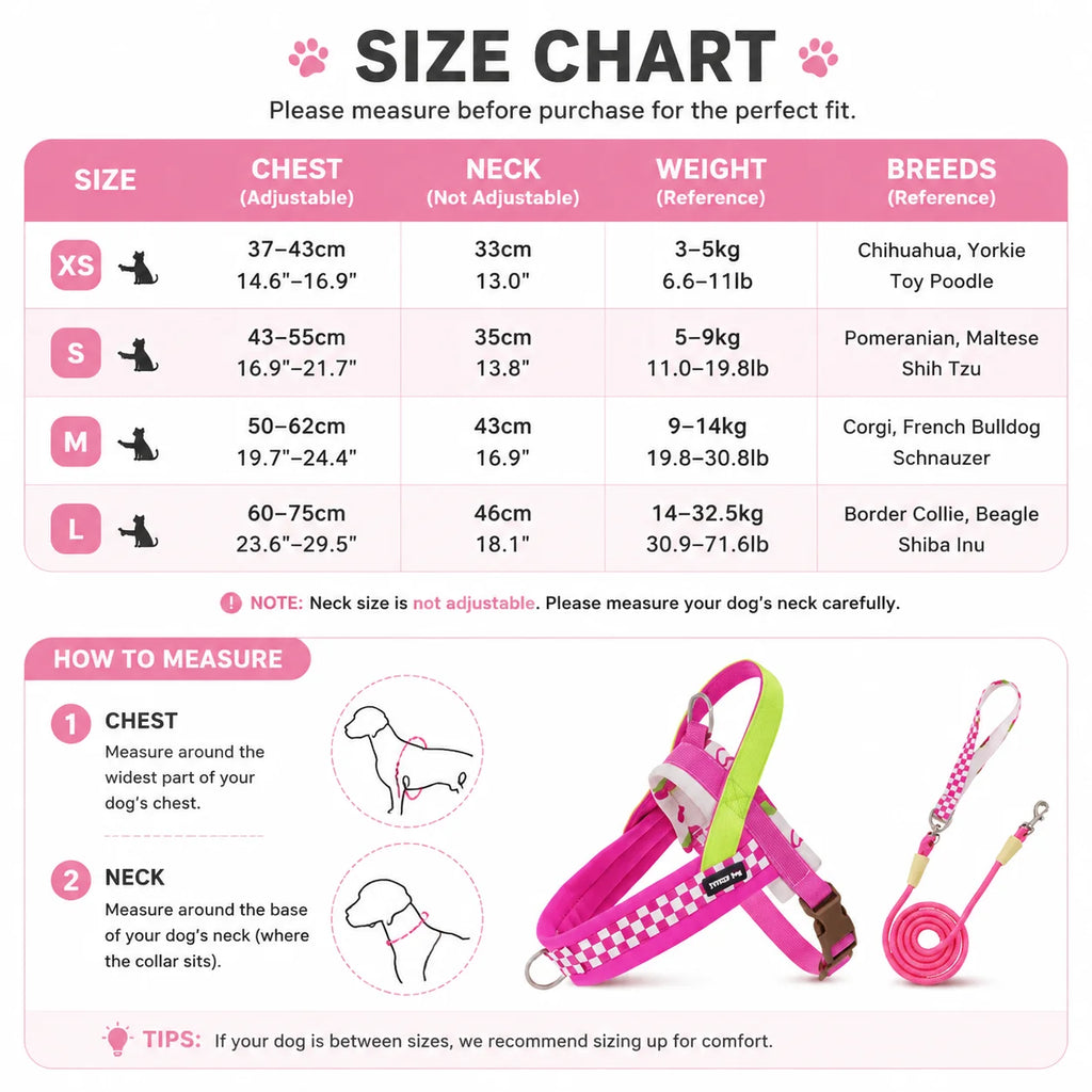 Harnais anti-traction réglable pour chien + laisse