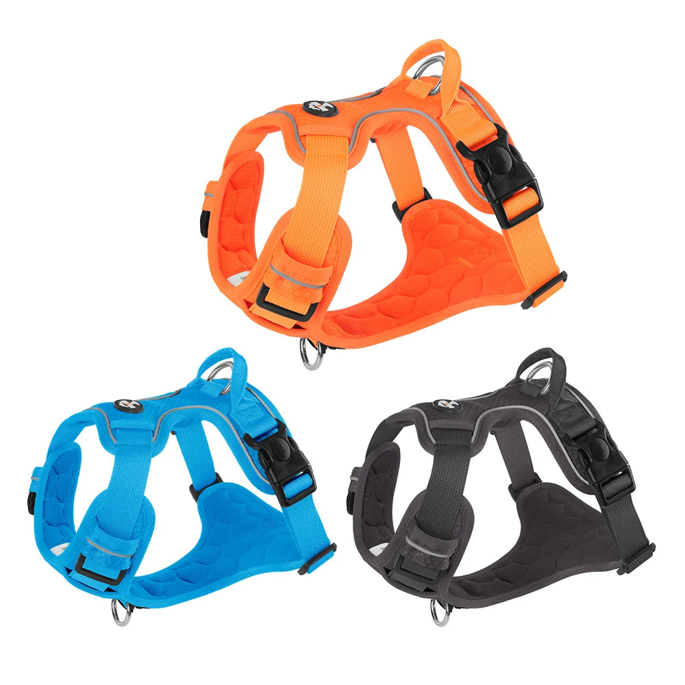 Harnais anti-traction réglable pour chien + laisse