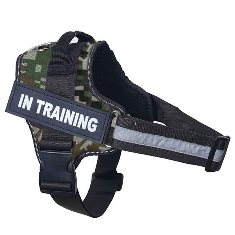 Harnais anti-traction réglable pour chien + laisse